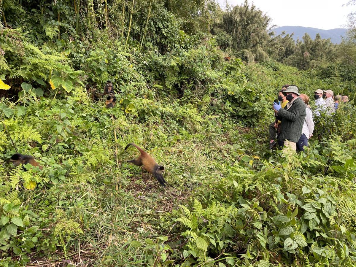 Virunga Homes Рухенгери Екстериор снимка