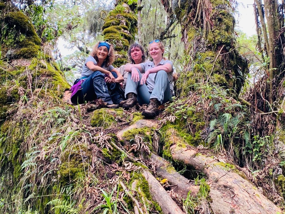Virunga Homes Рухенгери Екстериор снимка